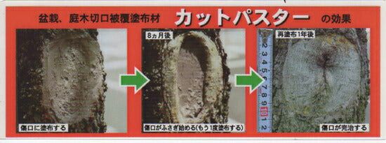 盆栽癒合材カットパスター2500gbonsai盆栽ハナゲン販売盆栽道具