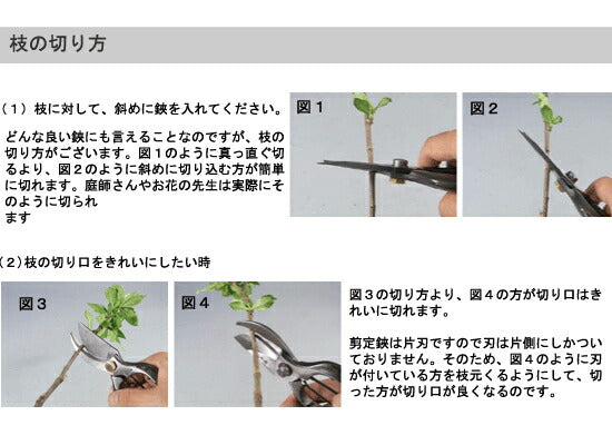 兼進手打ち製剪定鋏B皮-200200mm98