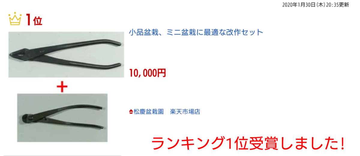 小品盆栽、ミニ盆栽に最適な改作セット【楽天1位】